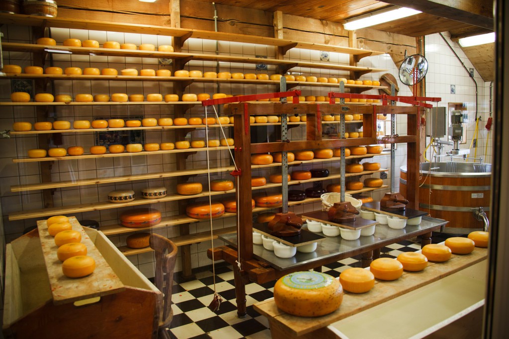 Food Processing - Cheese