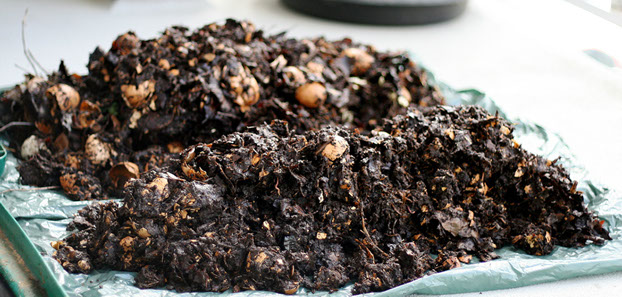 composting indoors