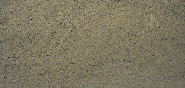 grey brown diatomaceous earth