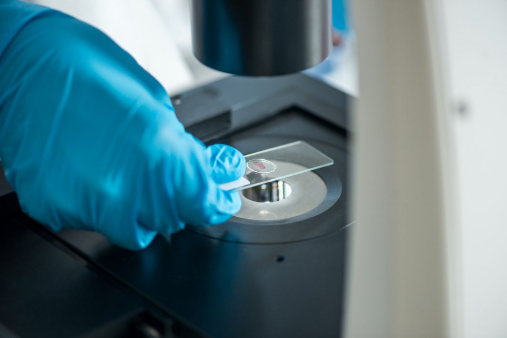 lab analysis