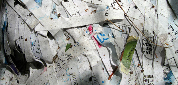 Interesting things to compost